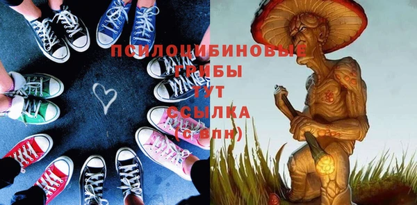 ешки Краснослободск