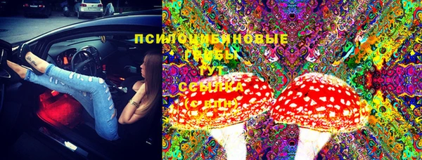 ешки Краснослободск
