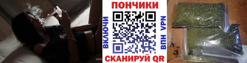 купить   Чита  Канабис Bruce Banner 